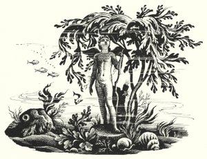 Hans Christian Andersen: La sirenita