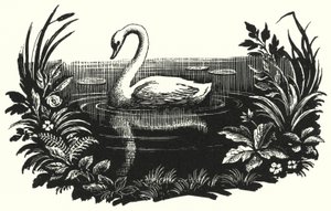 El patito feo de Rex (after) Whistler