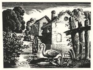 Hans Christian Andersen: El patito feo