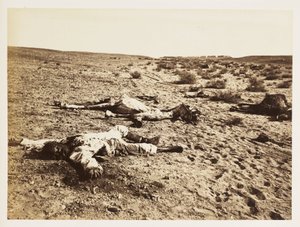 Soldado muerto en Tel-el-Kebir, Egipto, 6 de diciembre de 1882 de John Pardon