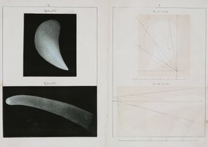 Cometa de Halley, octubre 1835