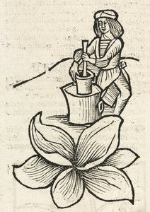 Hombre medieval usando un mortero para triturar plantas de John Pardon