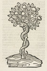 La serpiente en el árbol del conocimiento de John Pardon