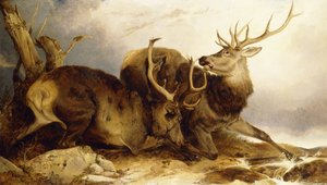 El Combate, 1847 de Richard Ansdell