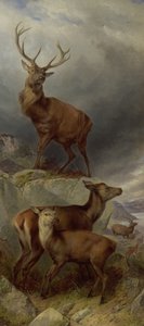 El bosque de los ciervos de Richard Ansdell