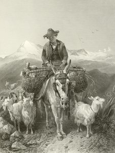El cabrero de Granada
