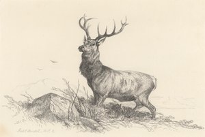 El Centinela de Richard Ansdell
