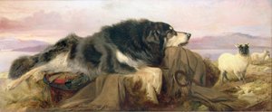 El Perro del Pastor de Richard Ansdell