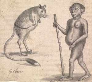 Monos (uno de tres en una montura)