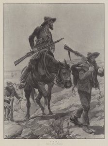 Cazado