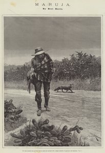 Maruja, por Bret Harte de Richard Caton Woodville junior
