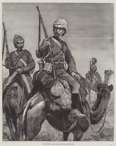 El Cuerpo de Camellos para la expedición del Nilo