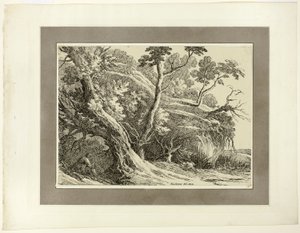 Paisaje con grandes árboles, del primer número de Specimens of Polyautography de Richard Cooper II