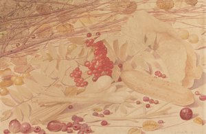 Naturaleza muerta con grosellas espinosas, frambuesas, grosellas rojas, cebolletas, un pepinillo y follaje de Richard Dadd