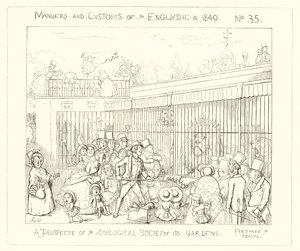 1849, Una perspectiva de los Jardines de la Sociedad Zoológica
