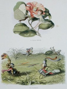 Una Mariposa Bailarina, y El Torneo, ilustraciones de 