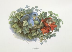 Escalada de Richard Doyle