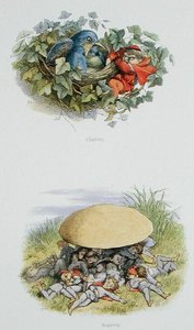 Escalando y reposando, ilustraciones de 