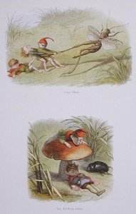 Elfos crueles y el rey de los elfos dormido, ilustraciones de 