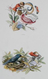 Coqueteando y Robando, ilustraciones de 