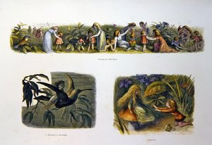 En el país de las hadas