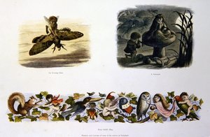 En el país de las hadas de Richard Doyle