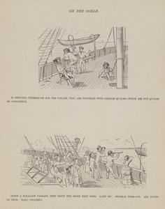 Página del Tour Americano de los Sres. Brown, Jones y Robinson de Richard Doyle