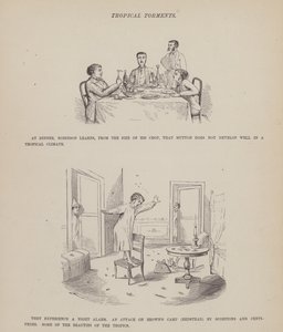 Página del Tour Americano de los Sres. Brown, Jones y Robinson (grabado) de Richard Doyle