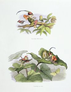Pobre pajarito molestado, y cortejo interrumpido, ilustraciones de 