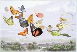 El carruaje de la reina de las hadas de Richard Doyle