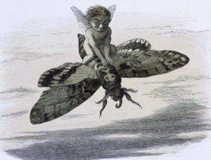 Un elfe chevauchant un papillon. Ilustración de Richard Doyle tiree de ""In Fairy land. Una serie de imágenes del mundo de los elfos"" acompañadas de un poema de W Allingham. 1869-1870. The British Library Institution Referencia: Shelfmark ID: 1876 e18 