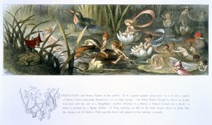 Nenúfares y Hadas del Agua, ilustración de 