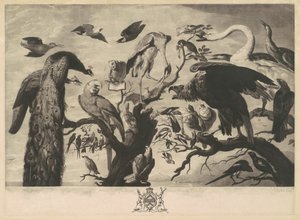 Un concierto de aves