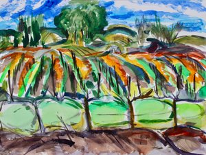 Viñedos de otoño, Napa, 2017 de Richard Fox