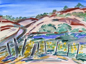 Colinas Secas, Norte de California, 2021 de Richard Fox