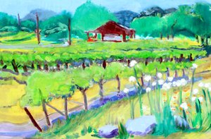 Viñedo en Zinfandel Lane, Napa