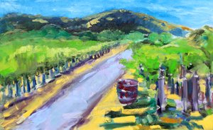 Viñedo con barril, Napa, 2019