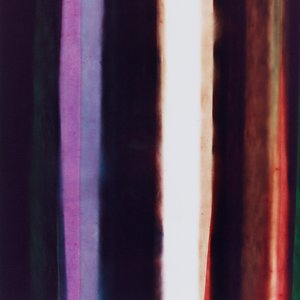 Raya IV, 2005 de Richard Green