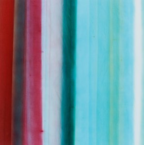Franja I, 2005 de Richard Green