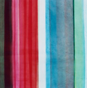Raya VI, 2005 de Richard Green