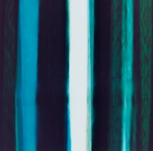 Franja V, 2005