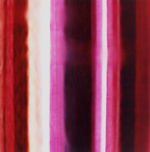 Raya XIII, 2005