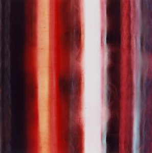 Raya XIV, 2005