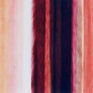 Raya X, 2005 de Richard Green