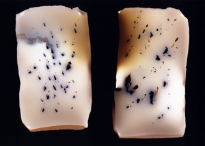 Sin título (estudio doble), 2001 de Richard Green