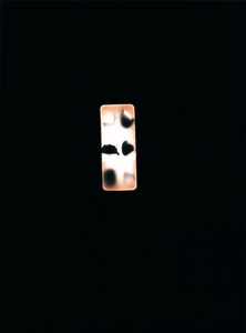Sin título, 2004 (fotograma único tipo c) de Richard Green