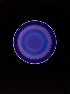 Sin título, 2004 de Richard Green