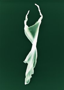 Sin título, 2004 de Richard Green
