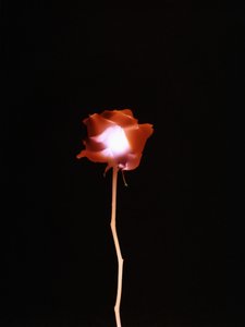 Sin título, 2007 de Richard Green