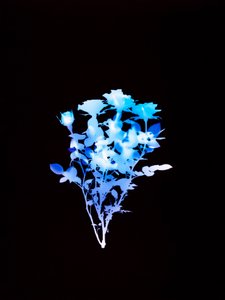Sin título, 2008 de Richard Green